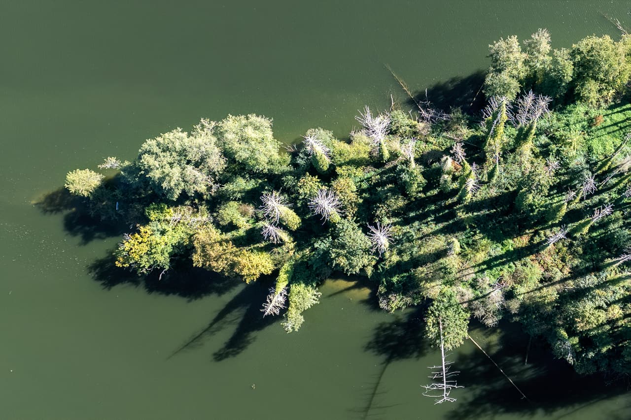 Beboste landtong in de Maas, vanuit de lucht