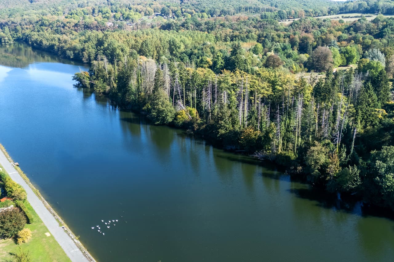 De Maas vanuit de lucht, weg en bos op de oever