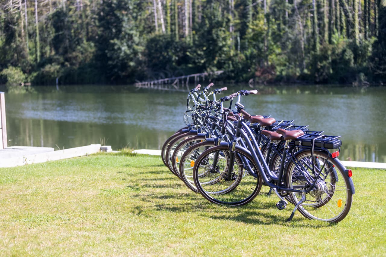 Elektrische fietsen op een rij op het gras, aan de Maas