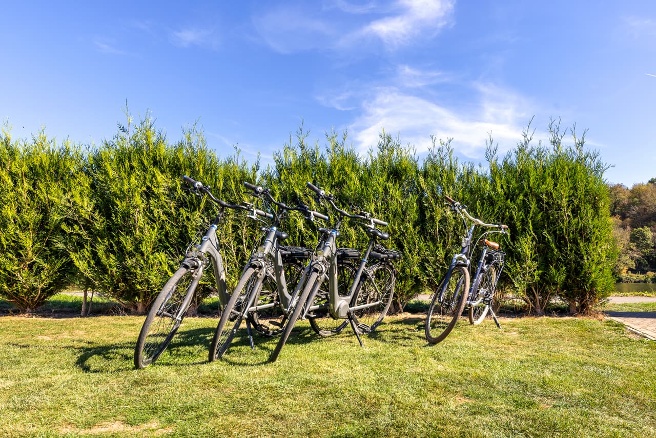 Vijf elektrische fietsen op het gazon